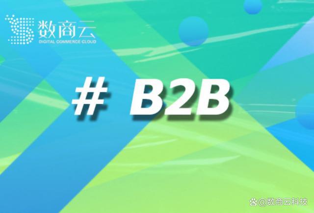 企业数字化转型利器：数商云B2B商城网站源码应用案例分析